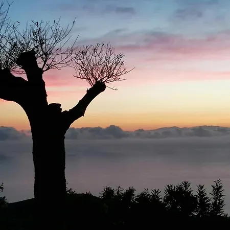 Casa Isabel - * Fasnia