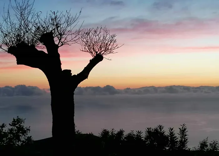 Casa Isabel - * Фасния